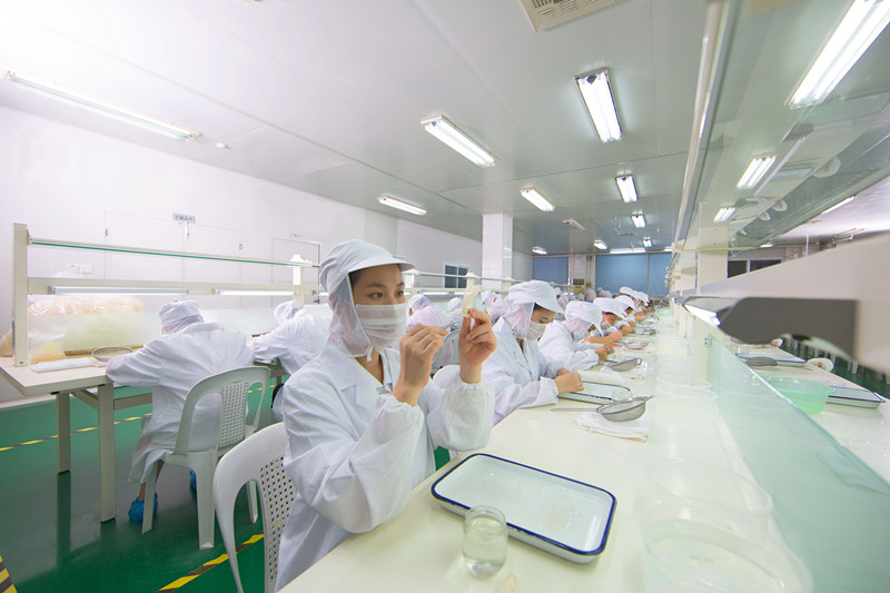 金燕归巢--2015年燕之屋·碗燕第一届全国销