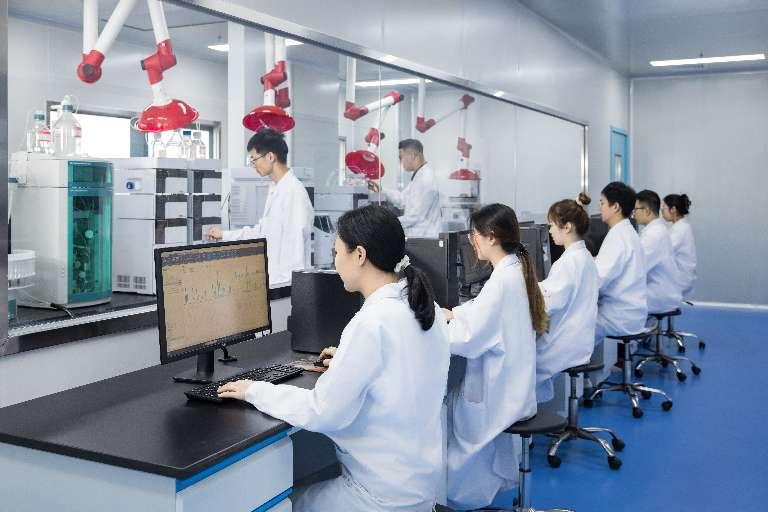 燕之屋荣获“福建省工业龙头企业”称号，彰显企业“领头燕”地位